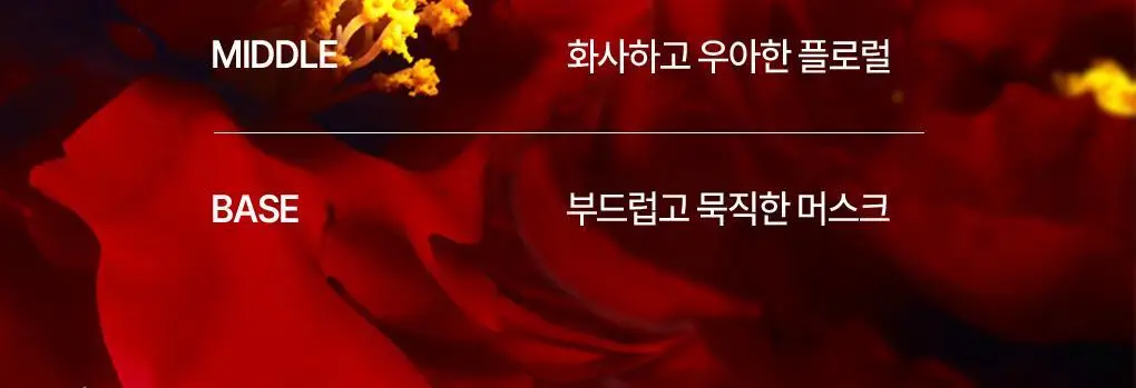 [까멜리아 헤어오일] 츠바키 오일 포스 엠 60ml 상세페이지 20